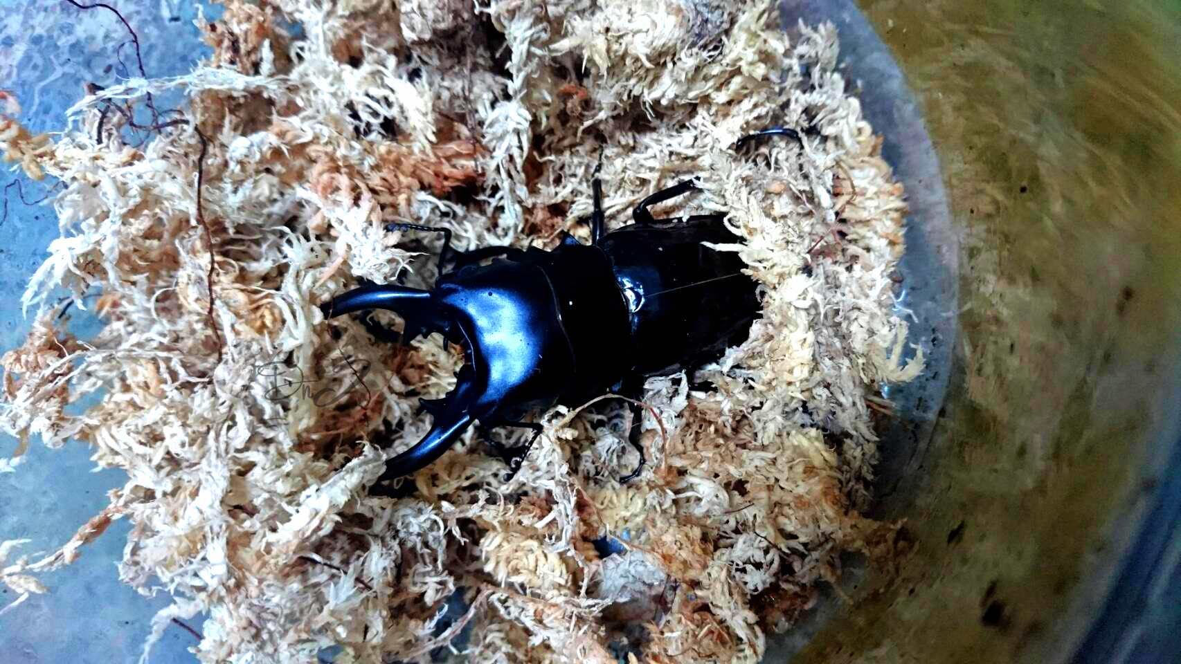 按此在新視窗瀏覽圖片