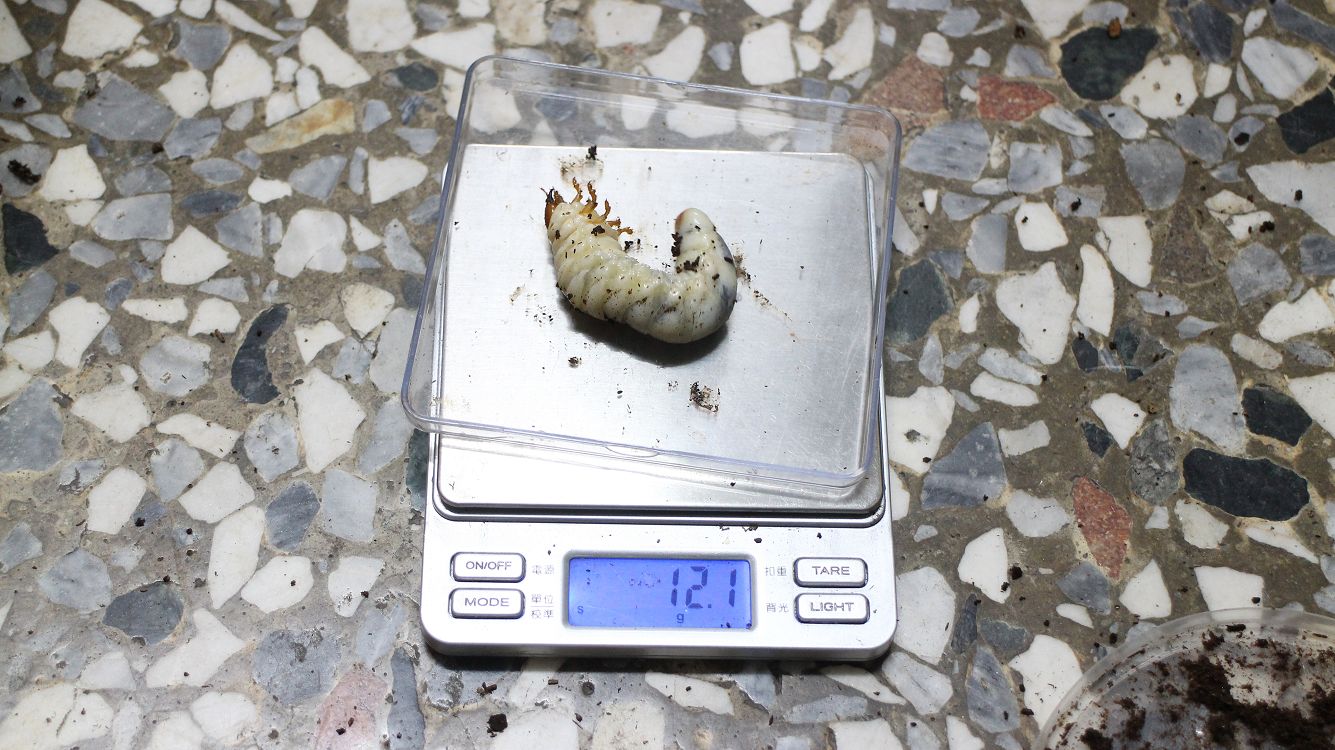 按此在新視窗瀏覽圖片