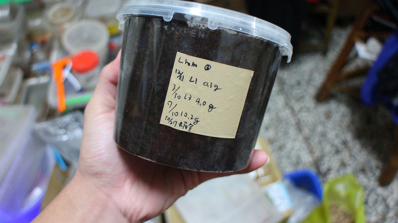 按此在新視窗瀏覽圖片