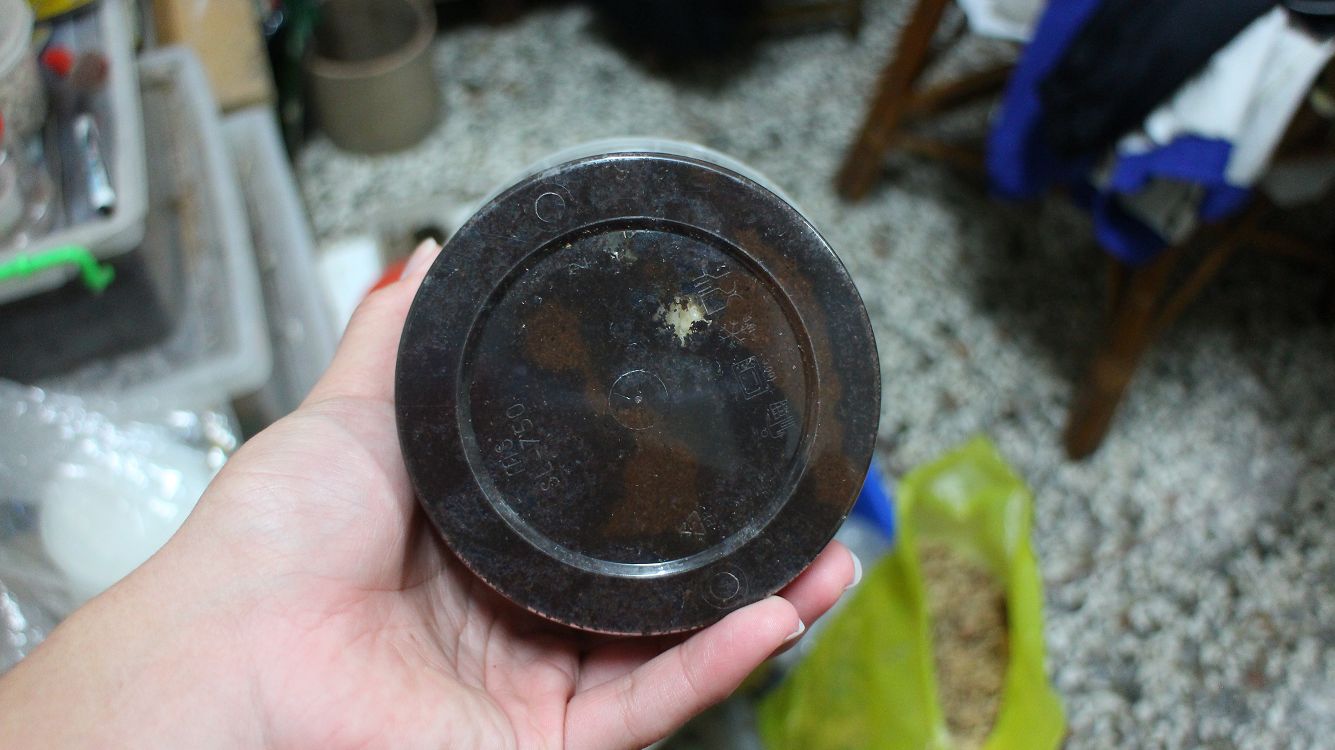 按此在新視窗瀏覽圖片