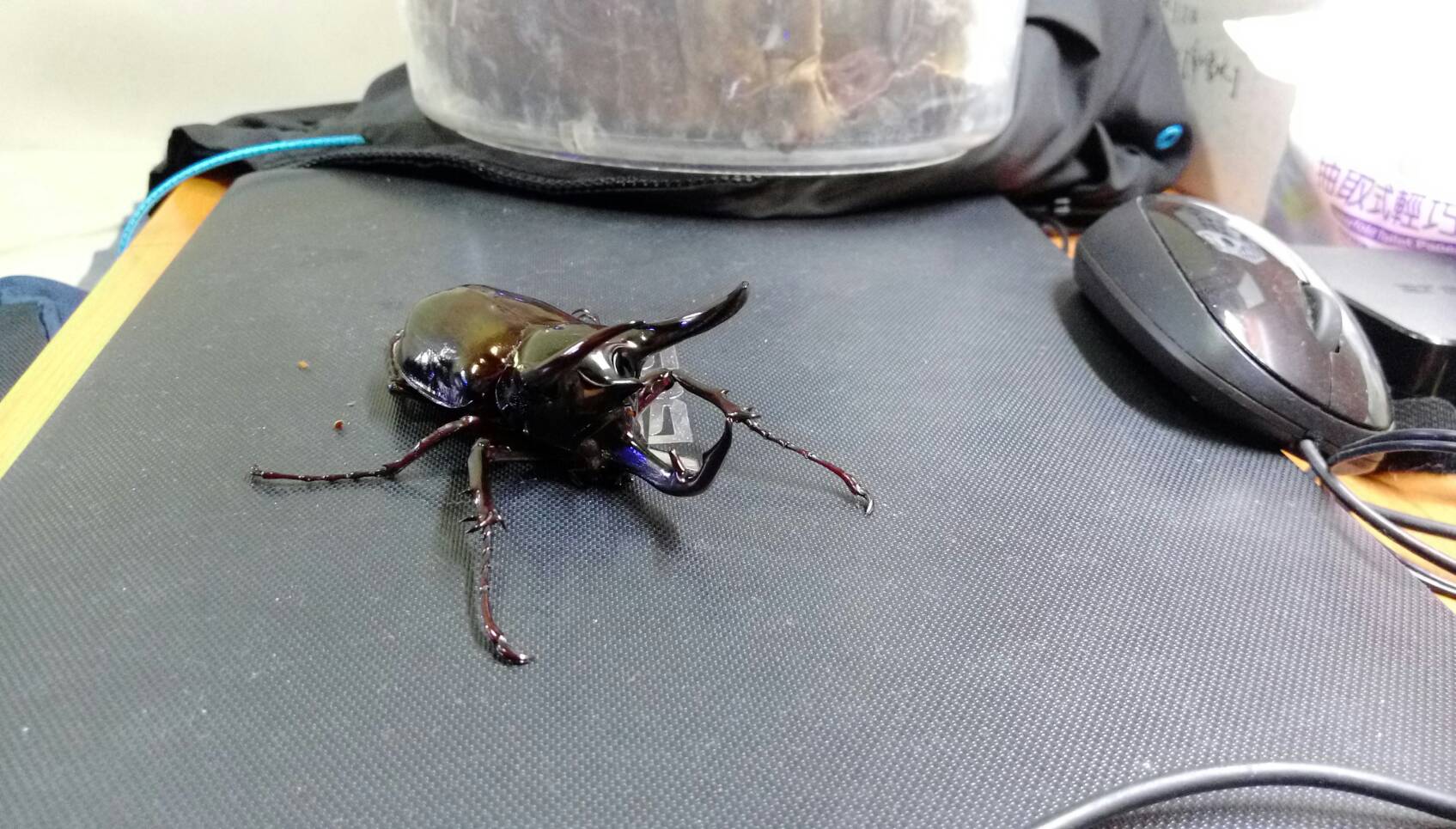 按此在新視窗瀏覽圖片