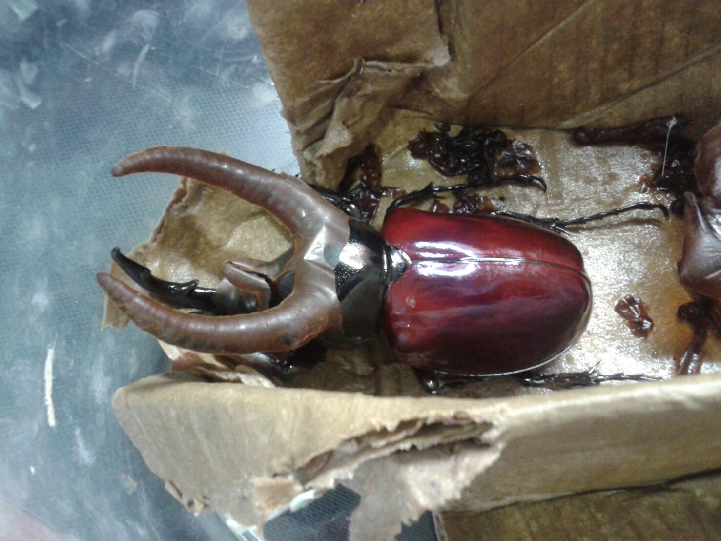 按此在新視窗瀏覽圖片