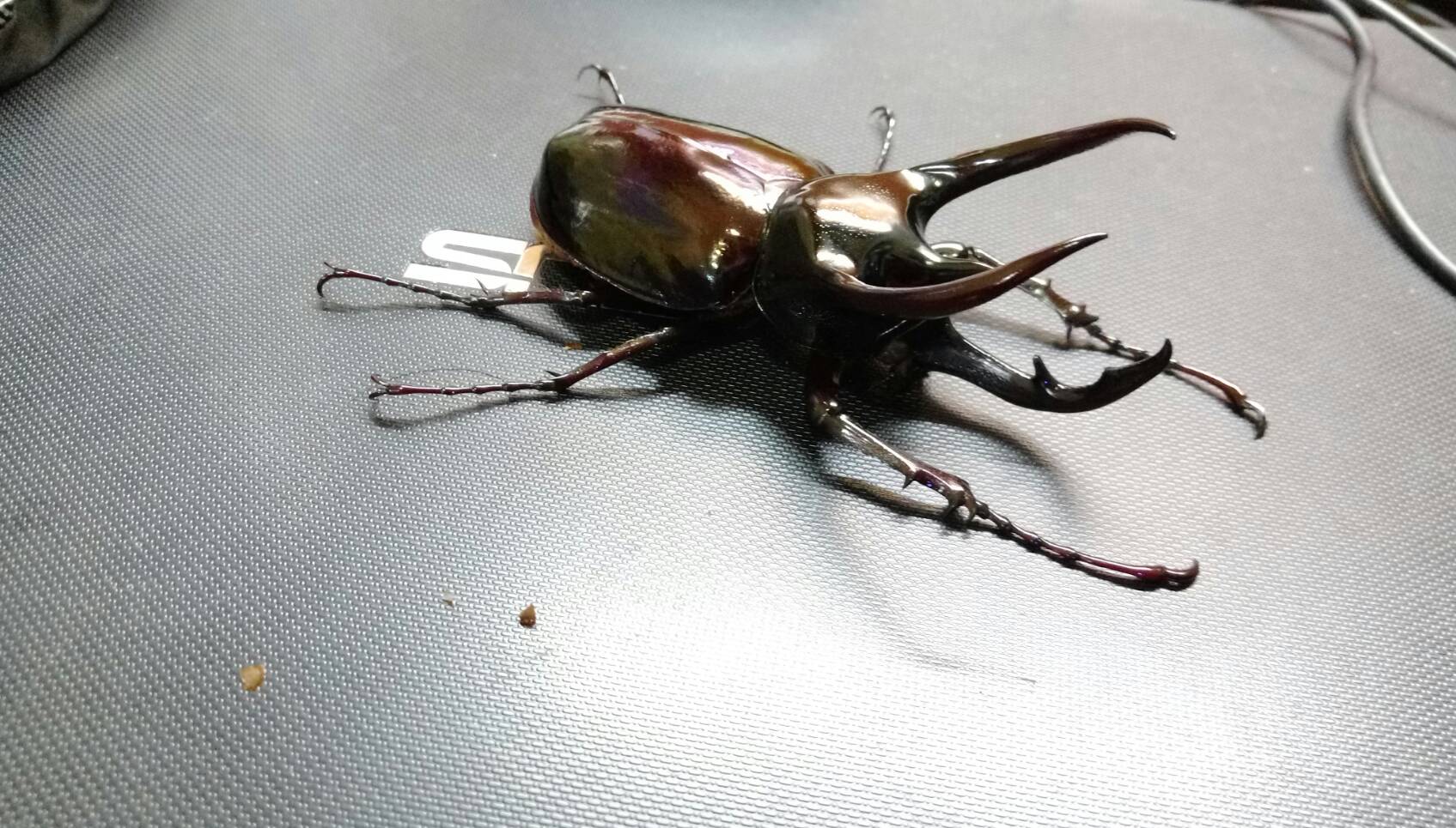 按此在新視窗瀏覽圖片