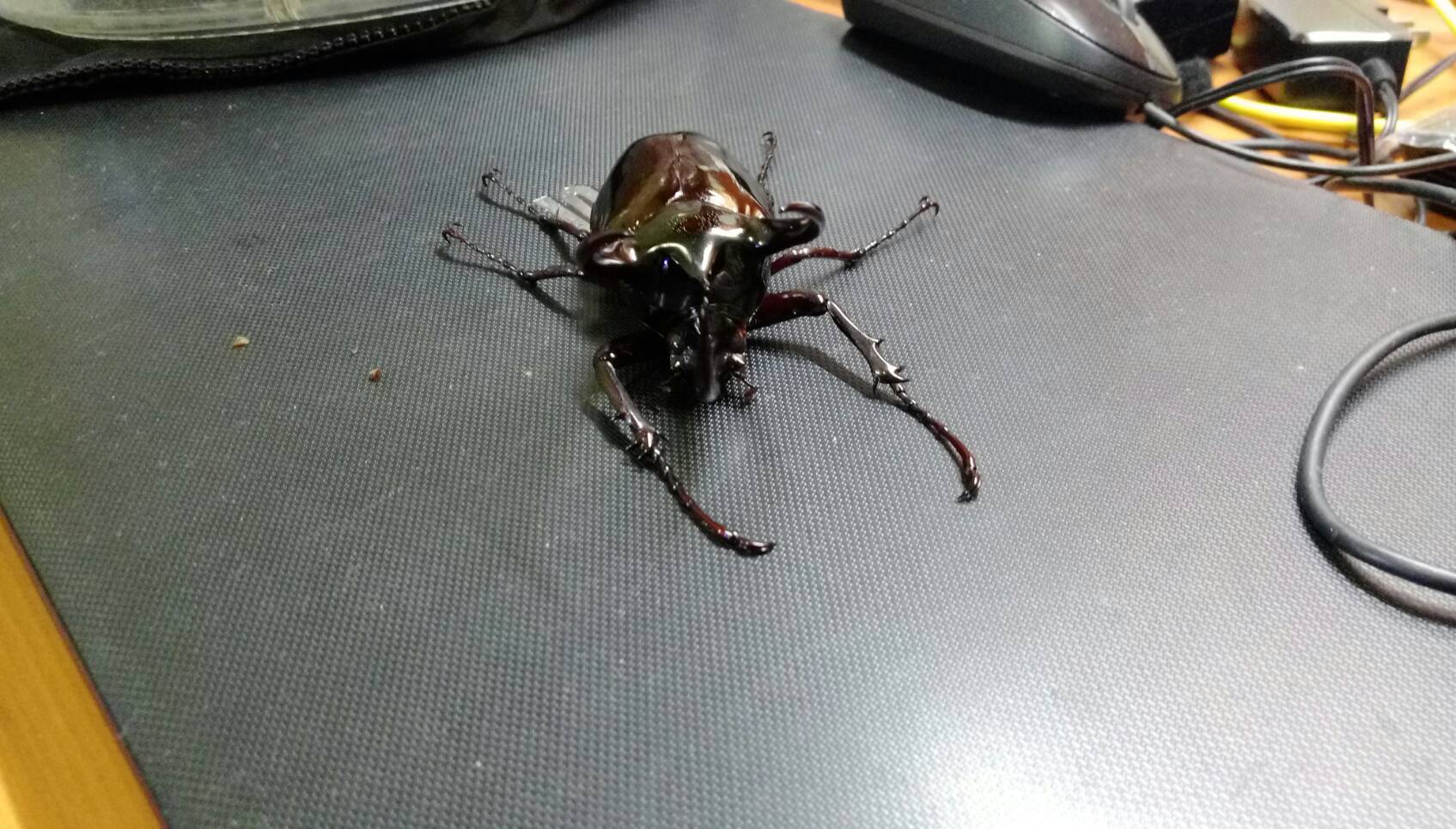 按此在新視窗瀏覽圖片