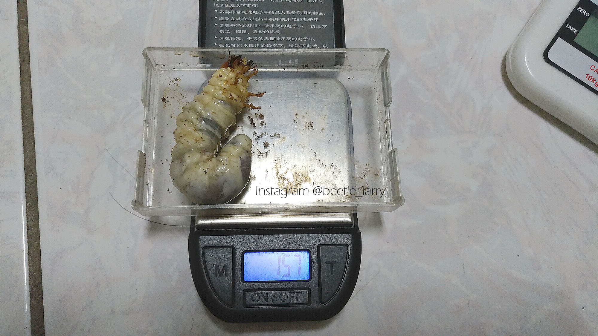按此在新視窗瀏覽圖片