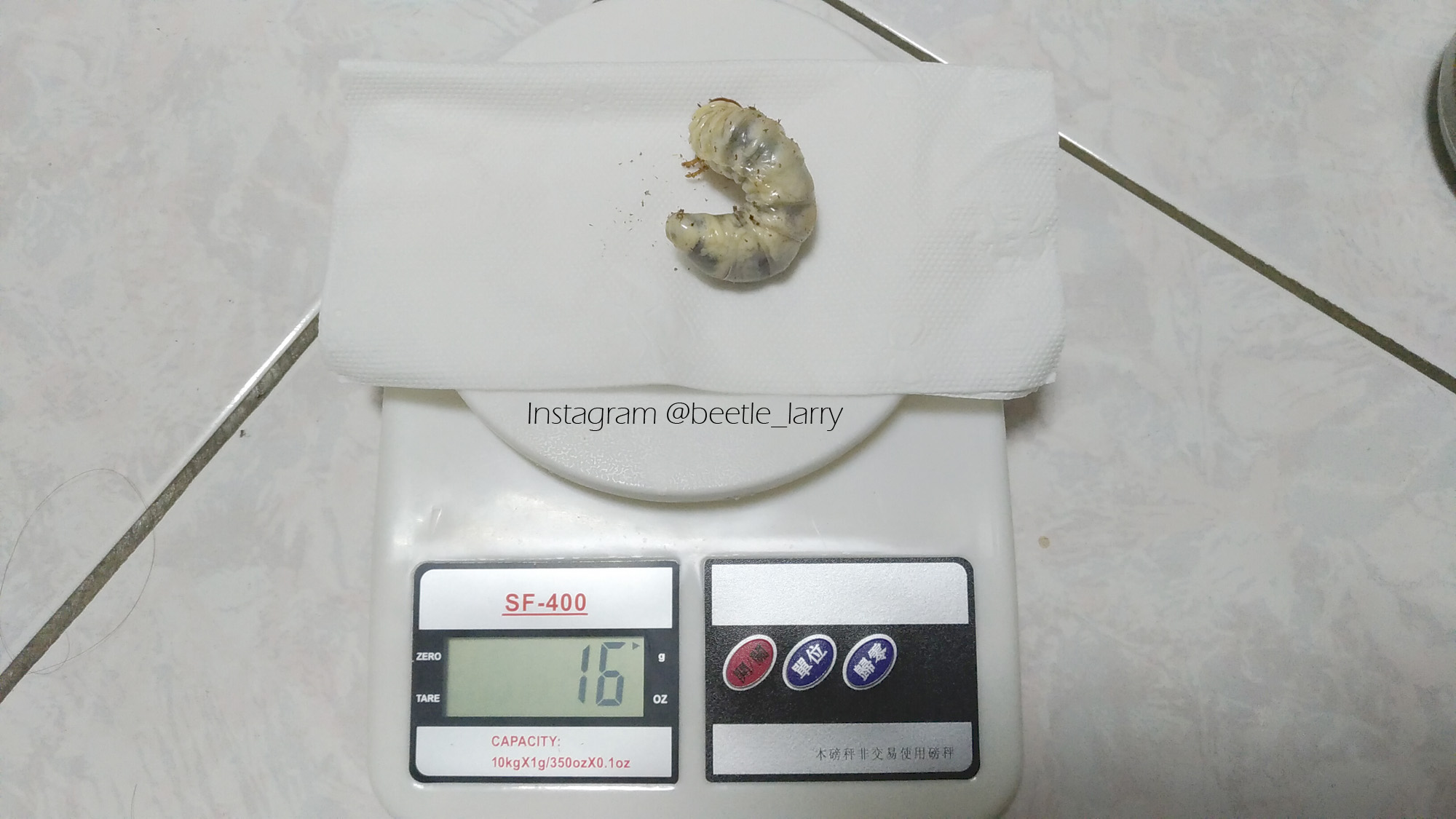按此在新視窗瀏覽圖片