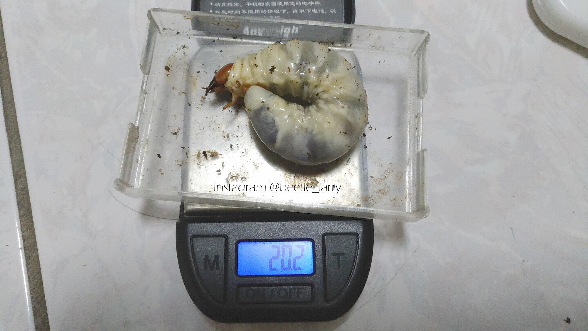 按此在新視窗瀏覽圖片