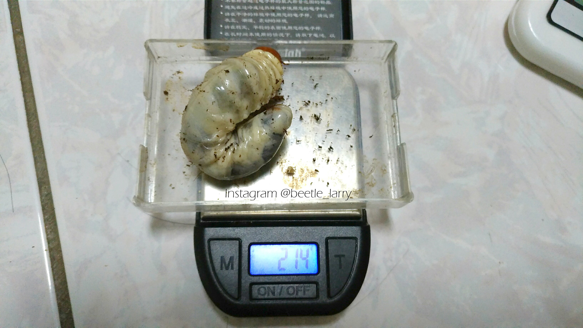 按此在新視窗瀏覽圖片