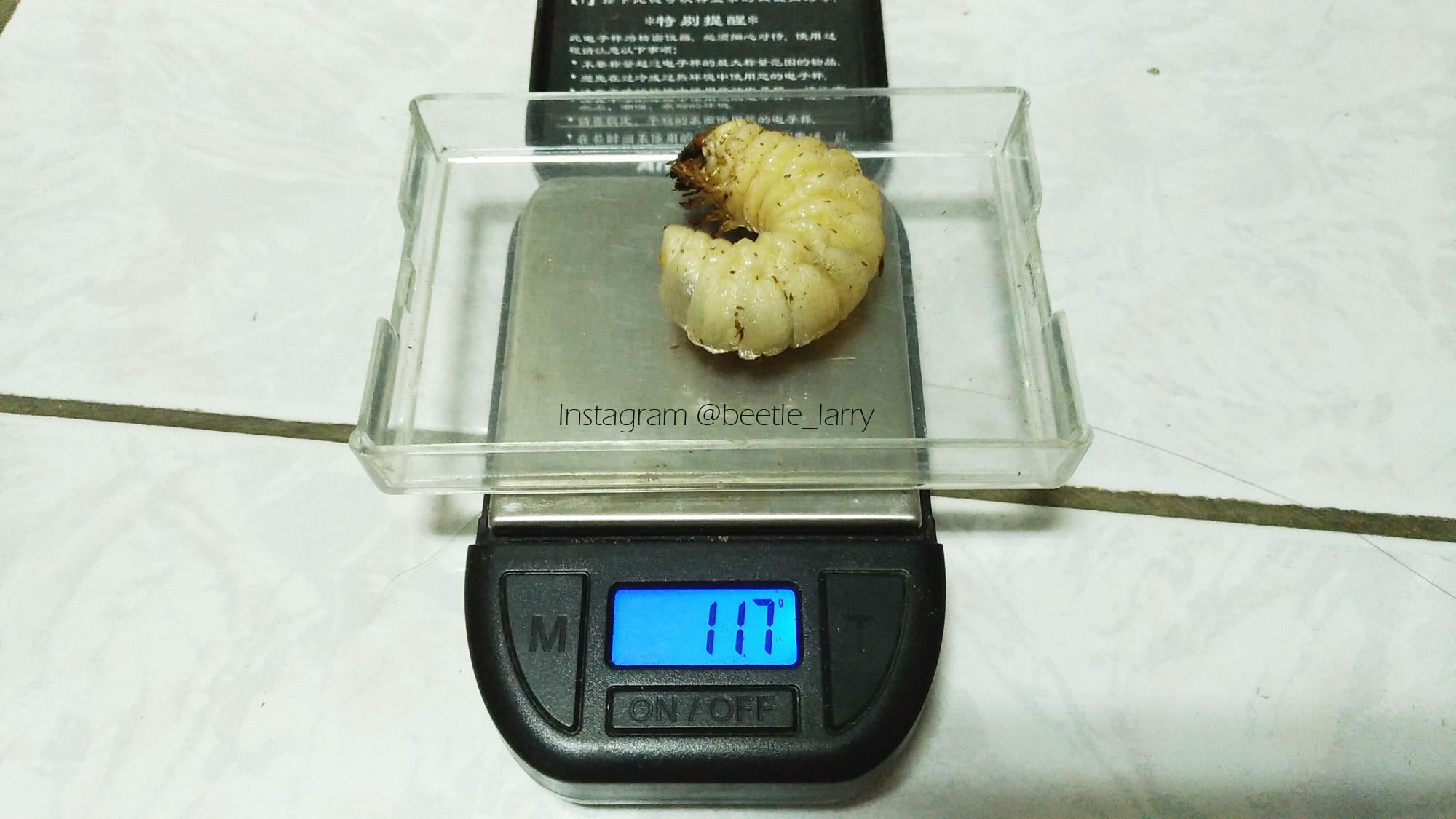 按此在新視窗瀏覽圖片