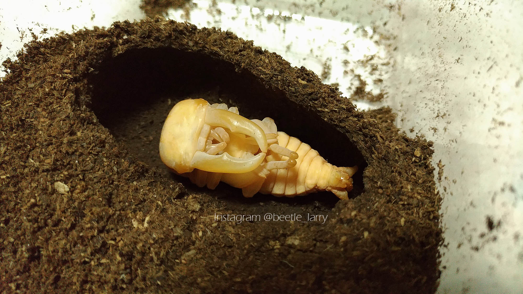 按此在新視窗瀏覽圖片
