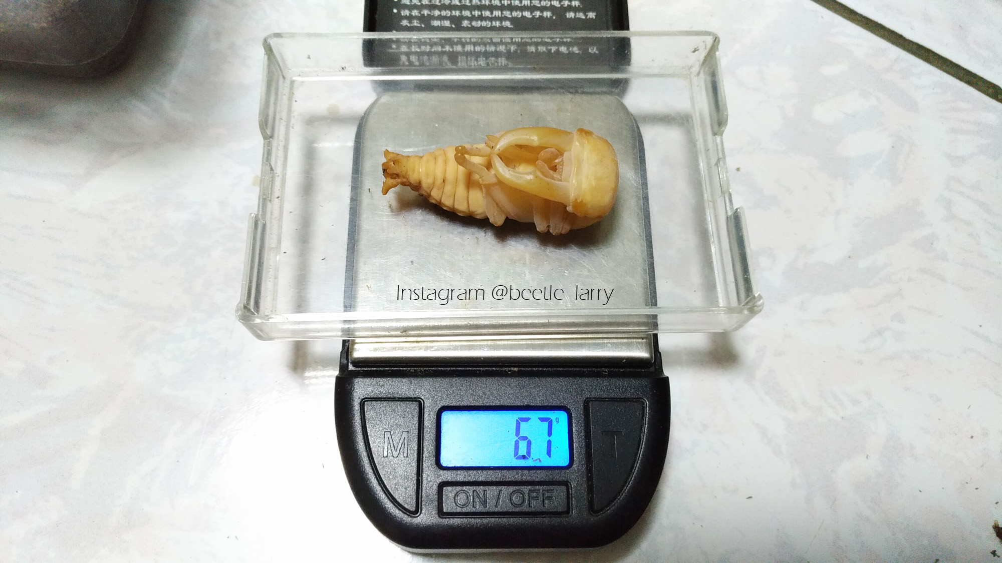 按此在新視窗瀏覽圖片