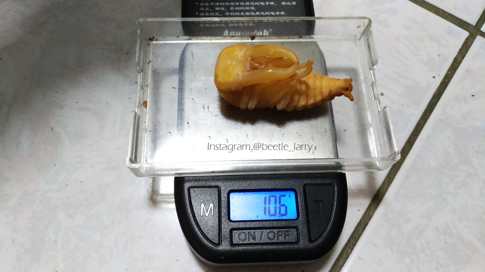 按此在新視窗瀏覽圖片