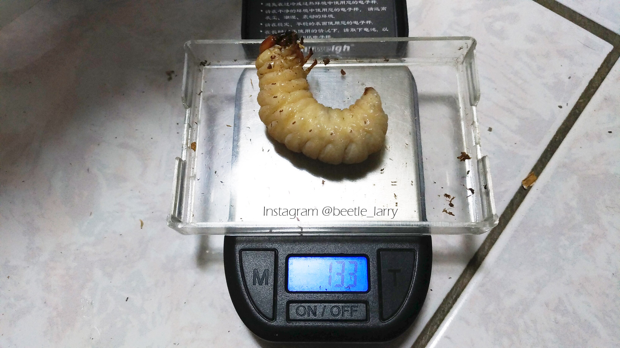 按此在新視窗瀏覽圖片