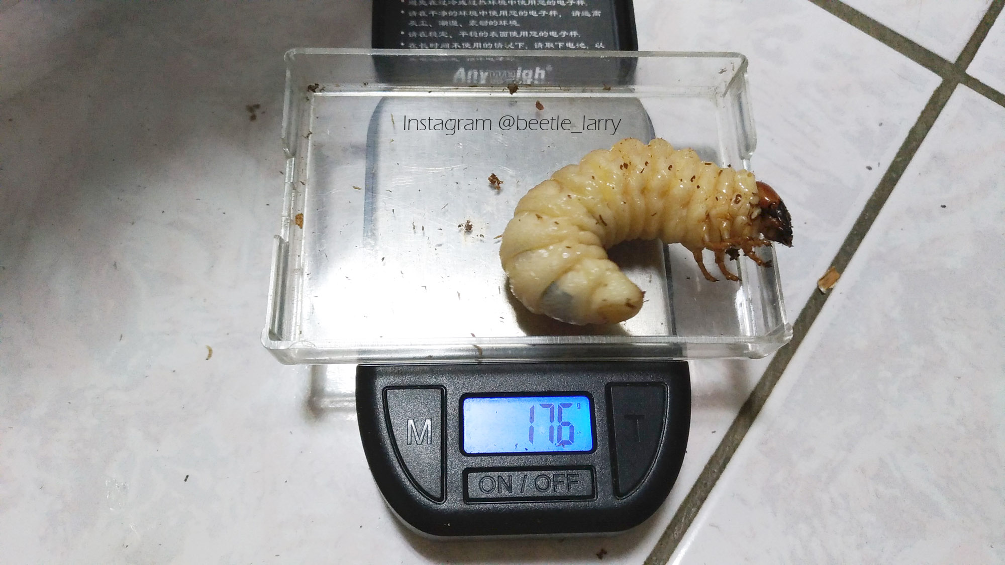 按此在新視窗瀏覽圖片