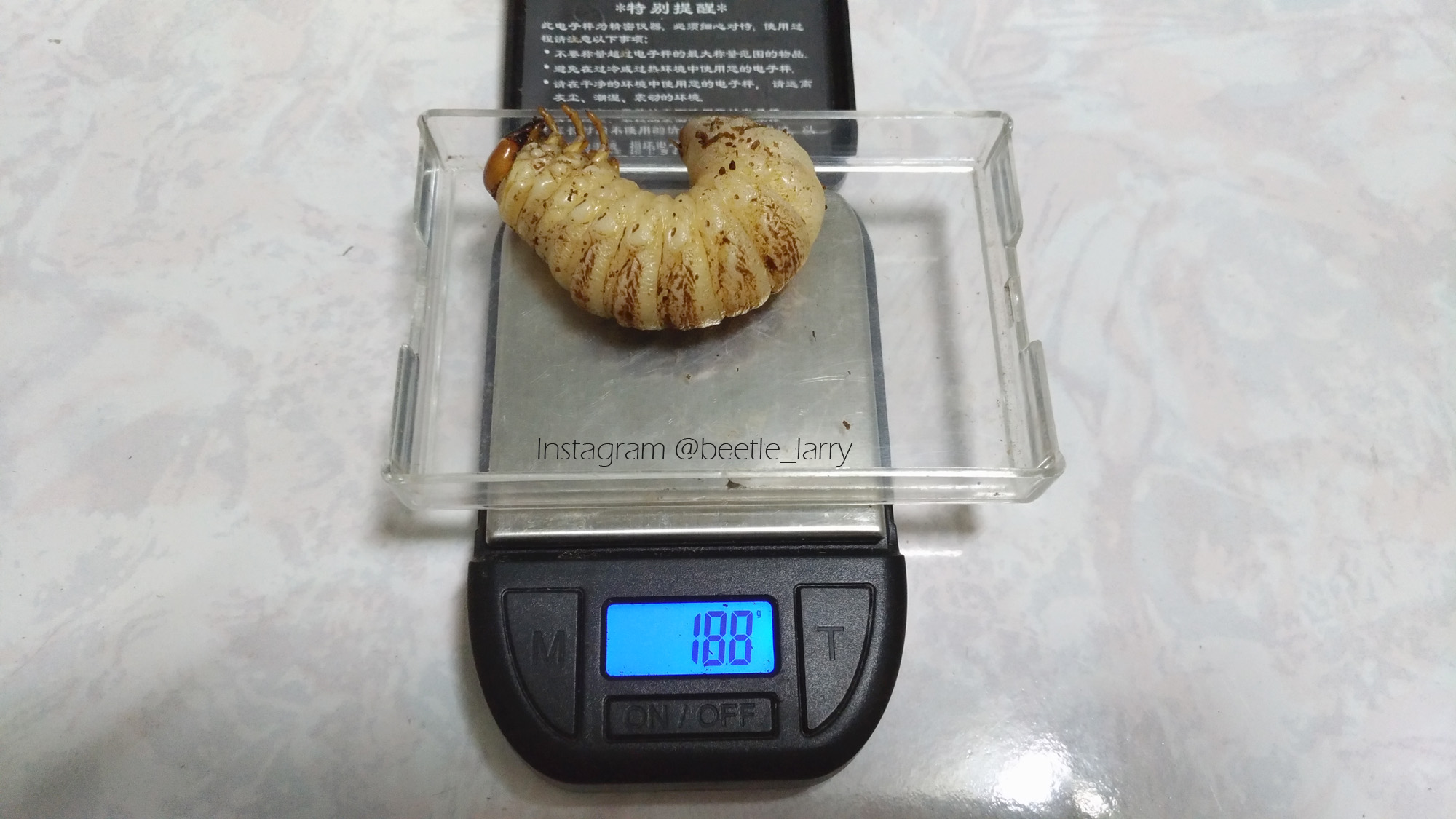 按此在新視窗瀏覽圖片