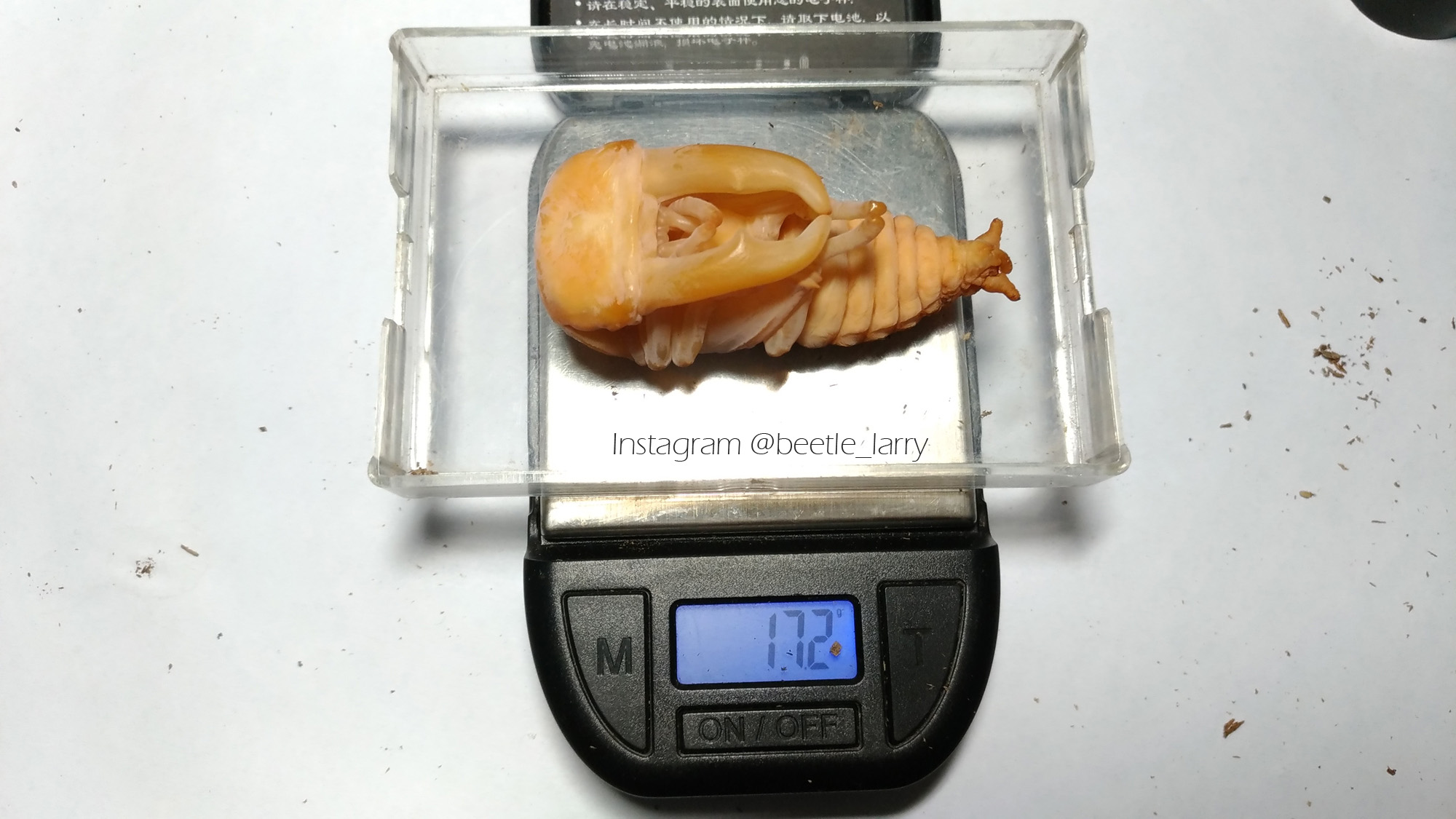 按此在新視窗瀏覽圖片