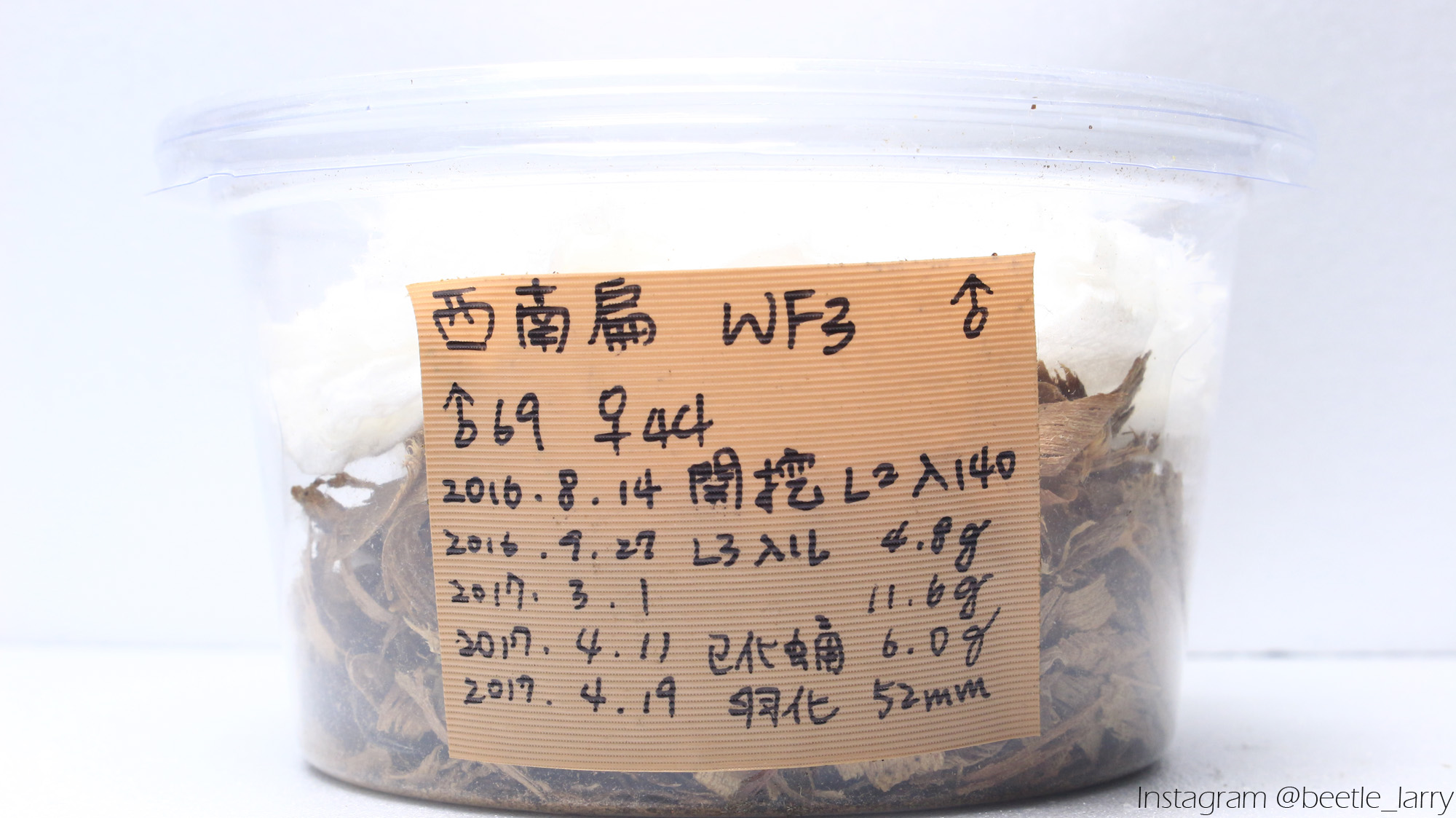 按此在新視窗瀏覽圖片