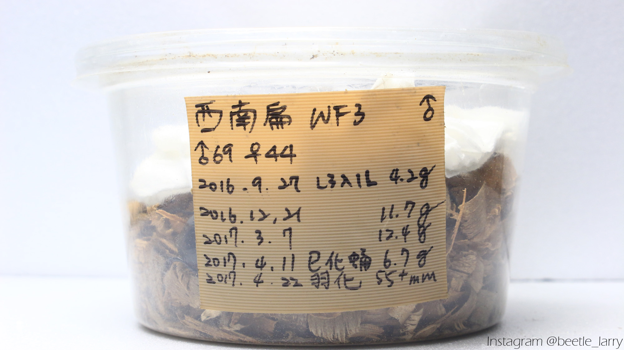 按此在新視窗瀏覽圖片
