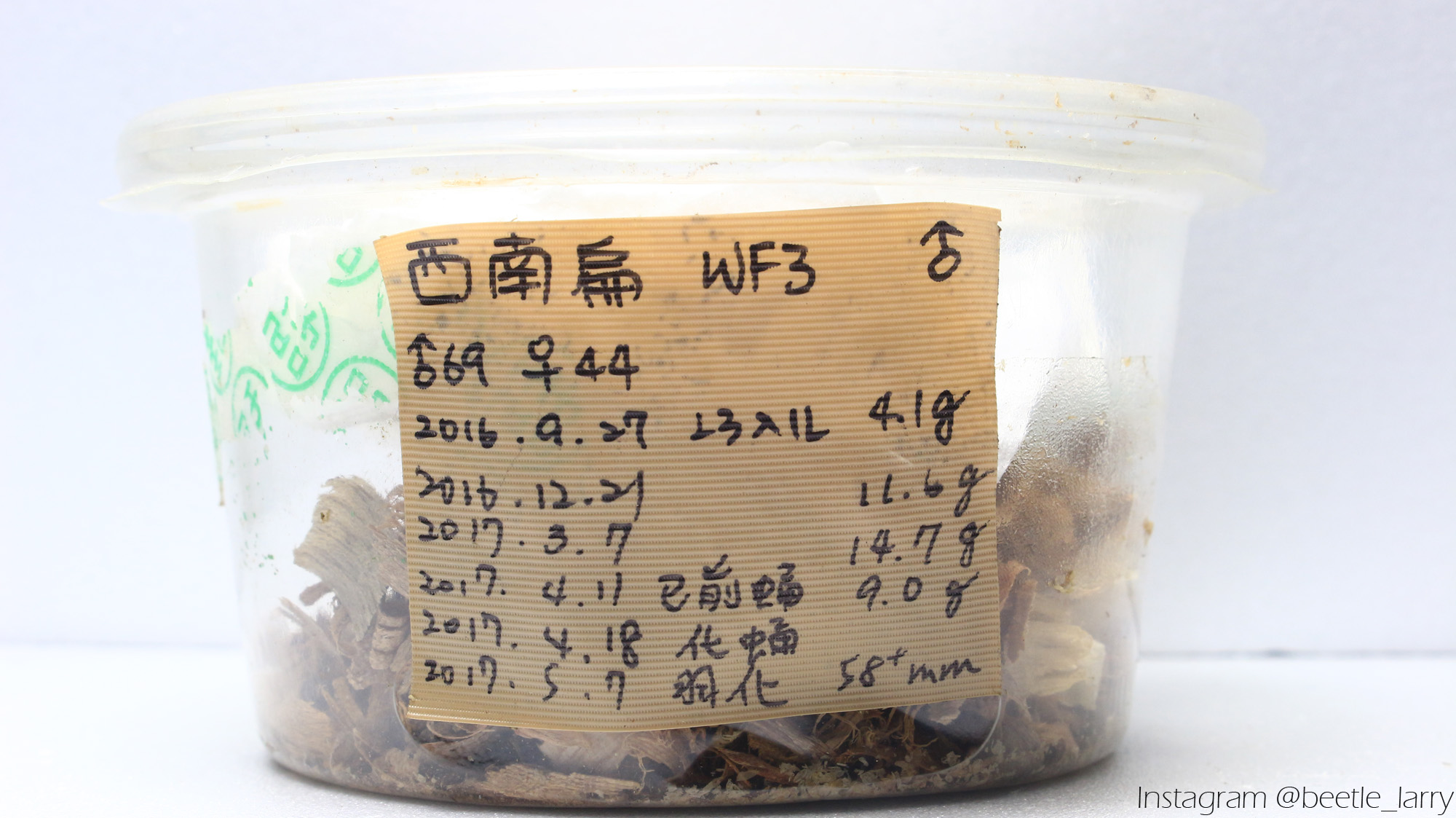 按此在新視窗瀏覽圖片