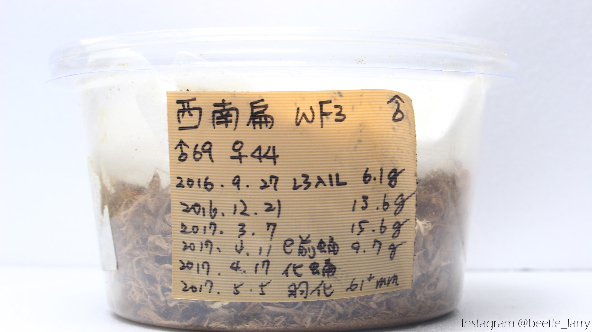 按此在新視窗瀏覽圖片