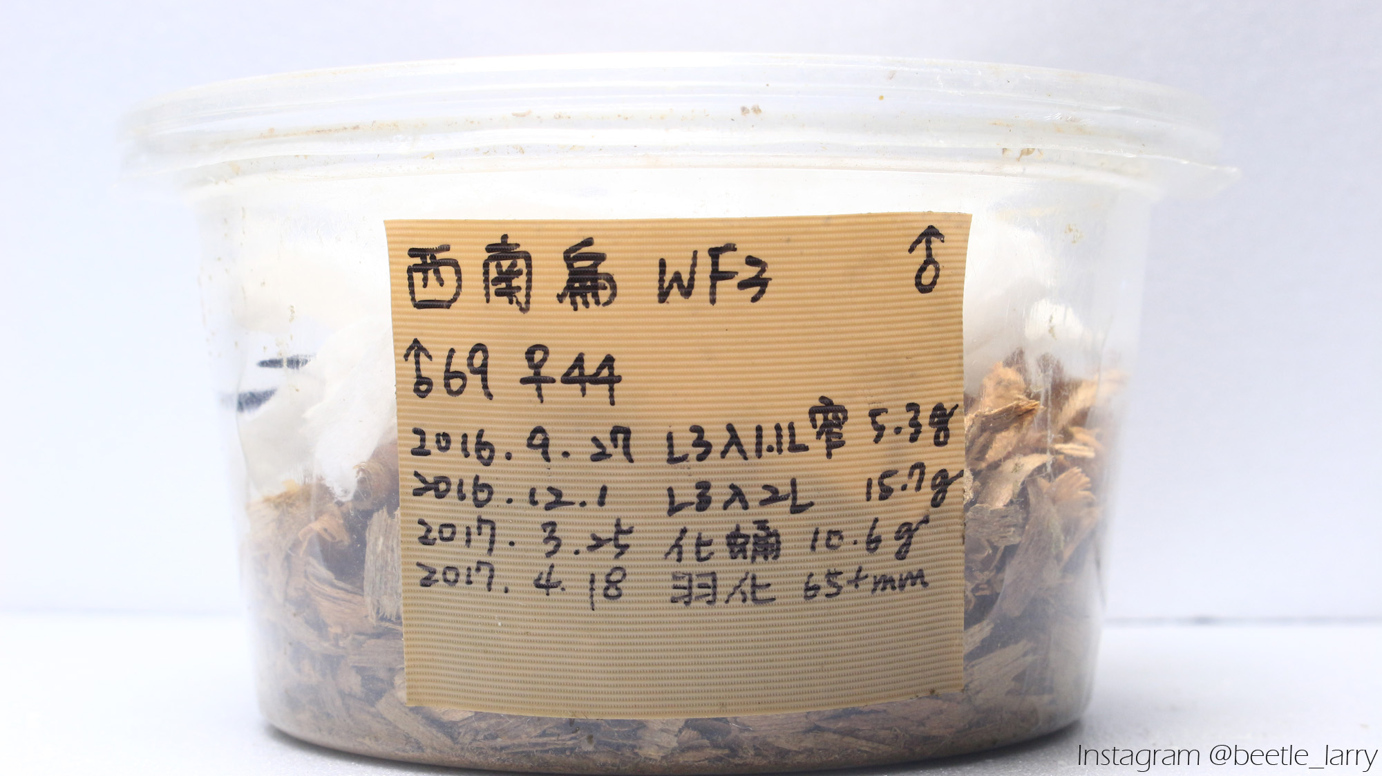 按此在新視窗瀏覽圖片