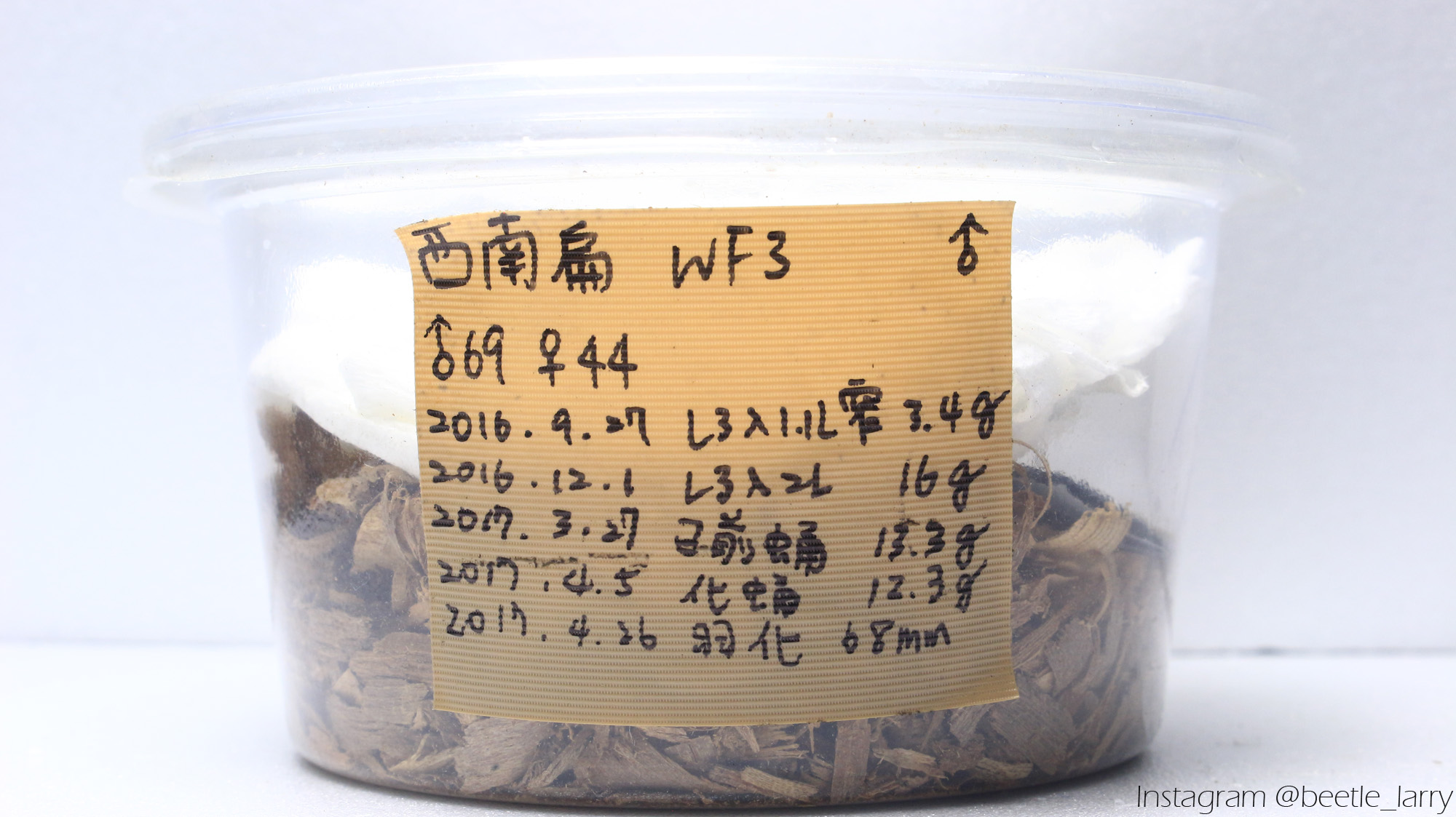 按此在新視窗瀏覽圖片