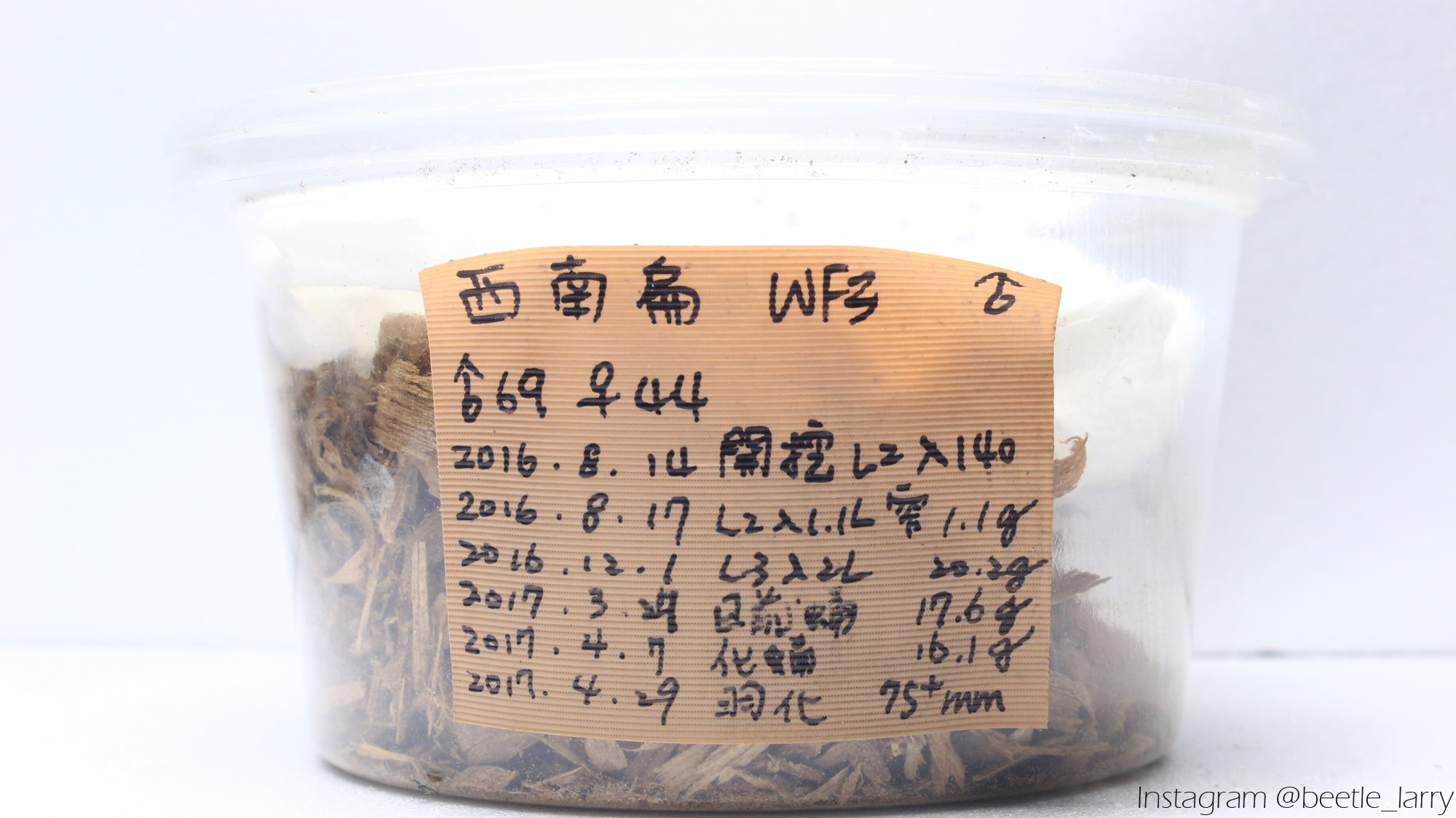 按此在新視窗瀏覽圖片