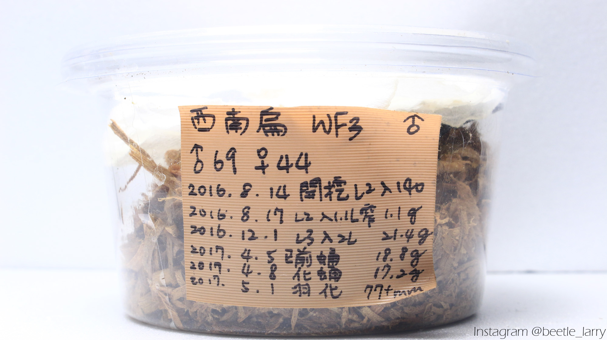 按此在新視窗瀏覽圖片