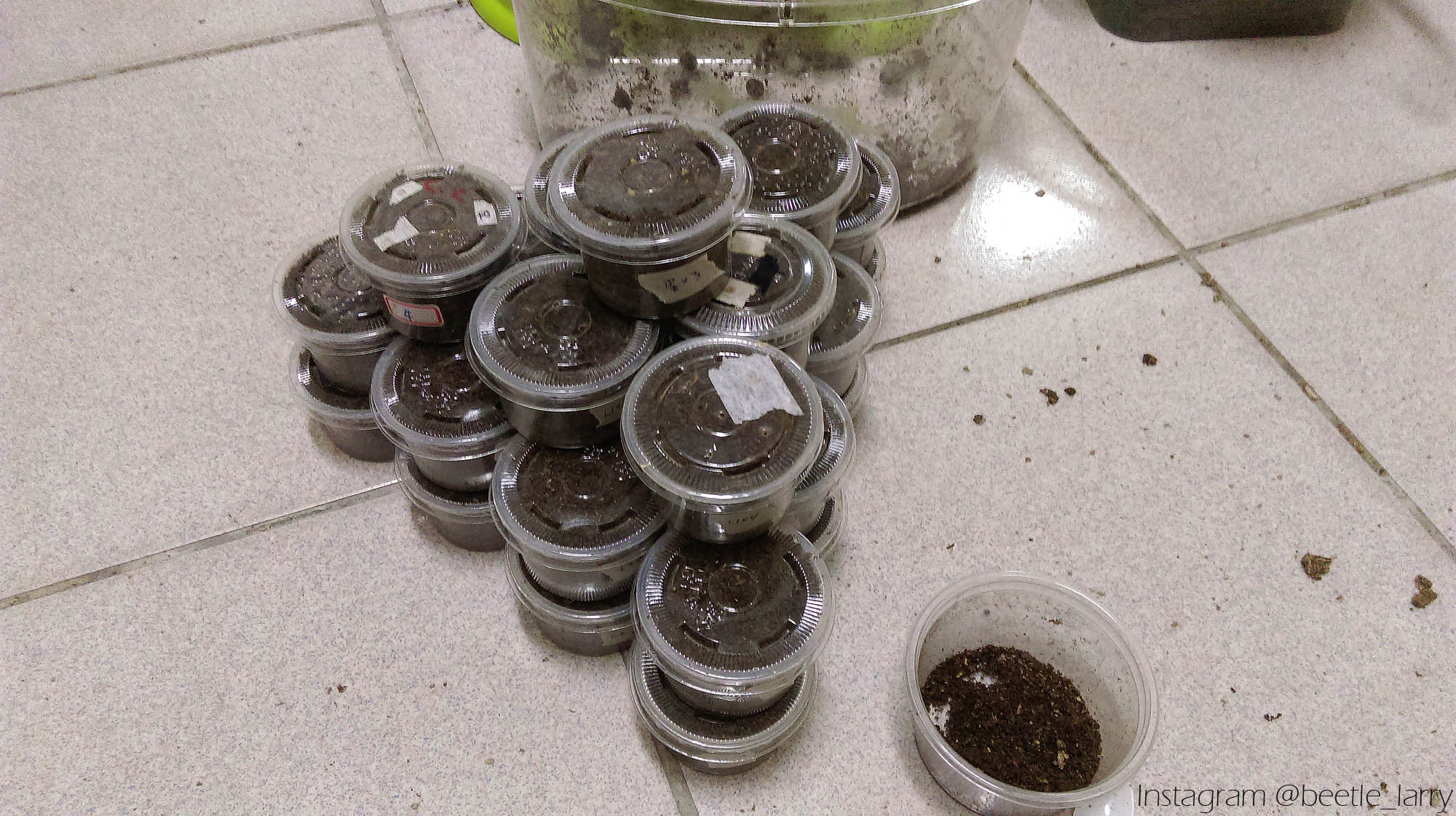 按此在新視窗瀏覽圖片