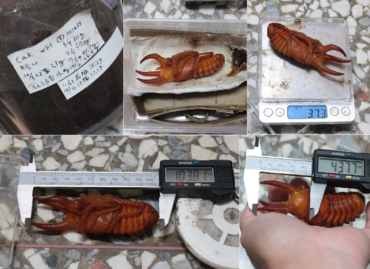 按此在新視窗瀏覽圖片