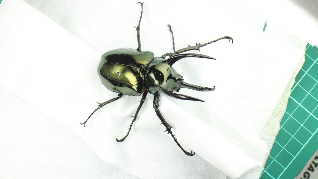 按此在新視窗瀏覽圖片