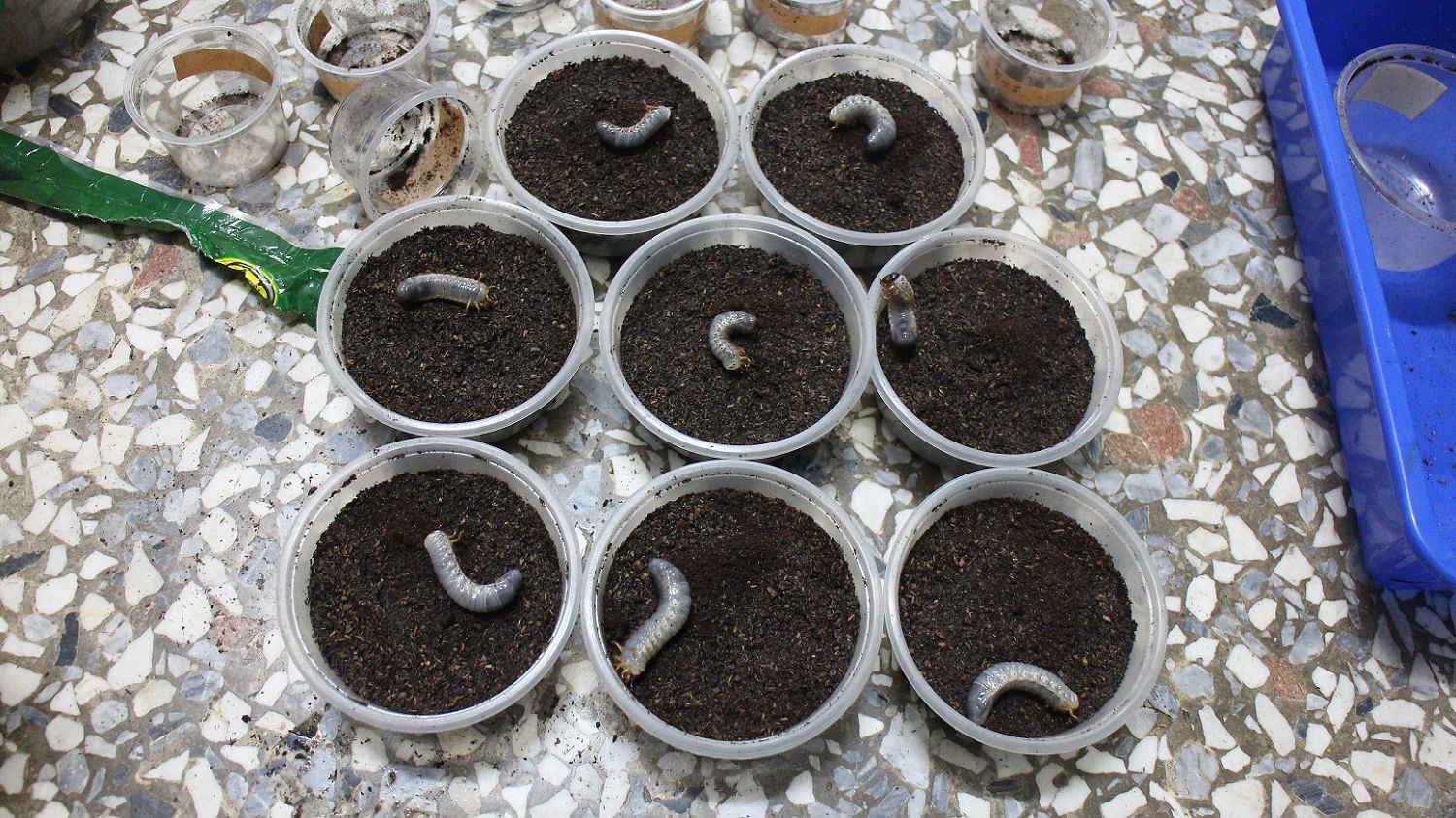 按此在新視窗瀏覽圖片