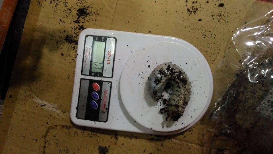 «ö¦¹¦b·sµøµ¡ÂsÄý¹Ï¤ù