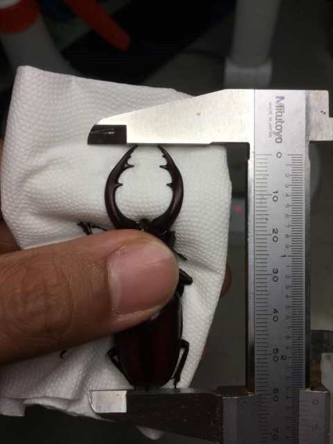 «ö¦¹¦b·sµøµ¡ÂsÄý¹Ï¤ù