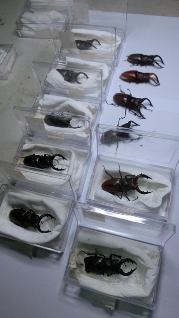 «ö¦¹¦b·sµøµ¡ÂsÄý¹Ï¤ù