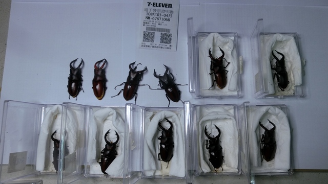 «ö¦¹¦b·sµøµ¡ÂsÄý¹Ï¤ù