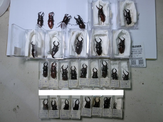 «ö¦¹¦b·sµøµ¡ÂsÄý¹Ï¤ù