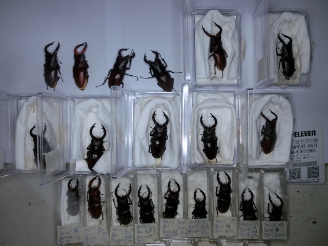 «ö¦¹¦b·sµøµ¡ÂsÄý¹Ï¤ù