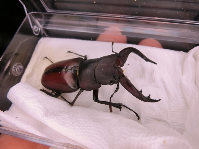 «ö¦¹¦b·sµøµ¡ÂsÄý¹Ï¤ù