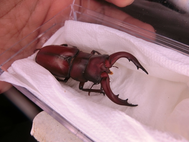 «ö¦¹¦b·sµøµ¡ÂsÄý¹Ï¤ù