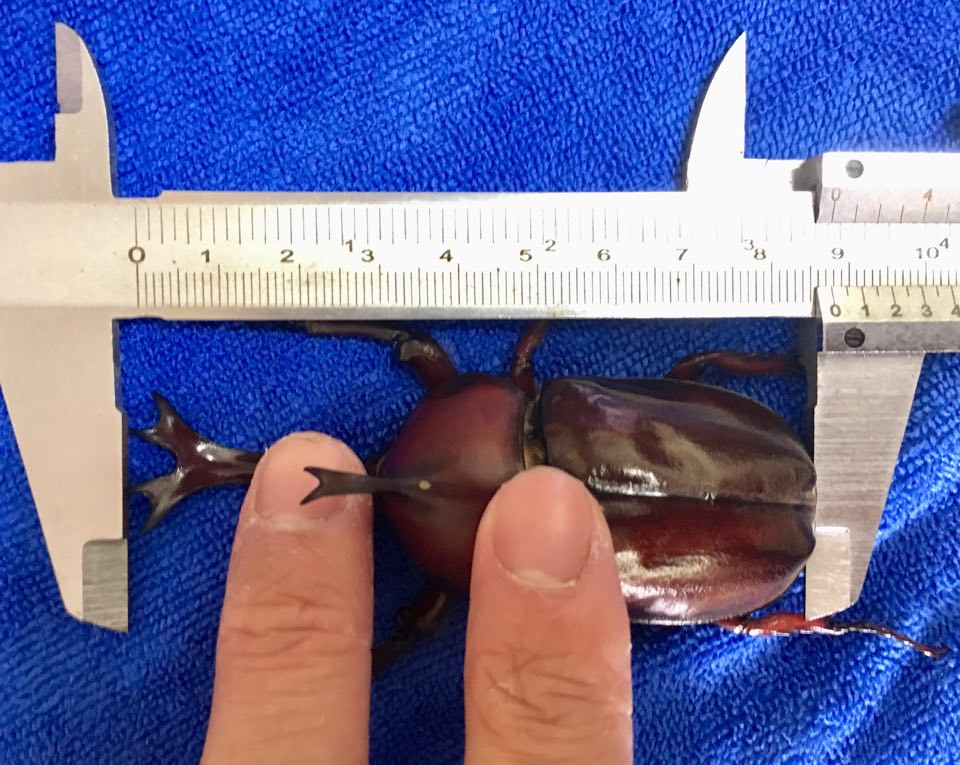 «ö¦¹¦b·sµøµ¡ÂsÄý¹Ï¤ù