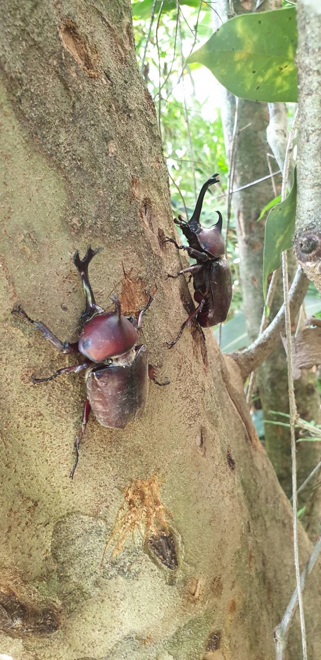 «ö¦¹¦b·sµøµ¡ÂsÄý¹Ï¤ù