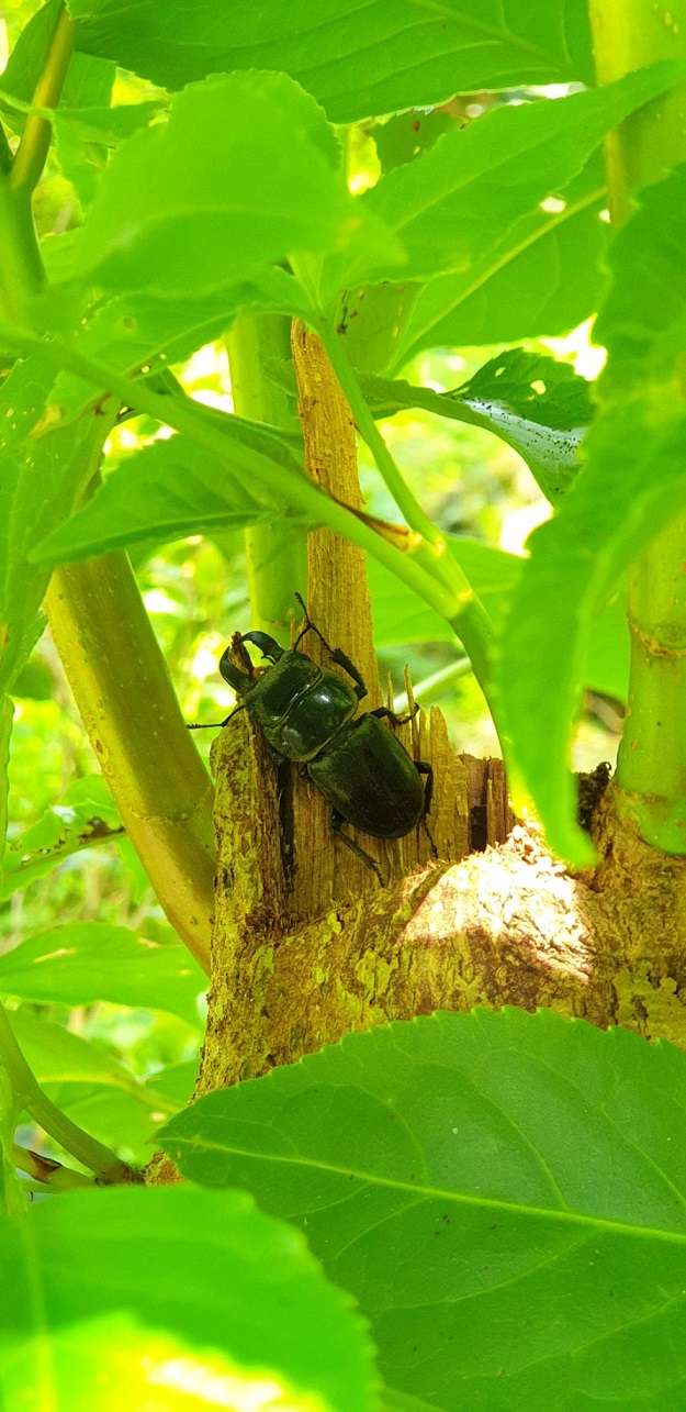 «ö¦¹¦b·sµøµ¡ÂsÄý¹Ï¤ù