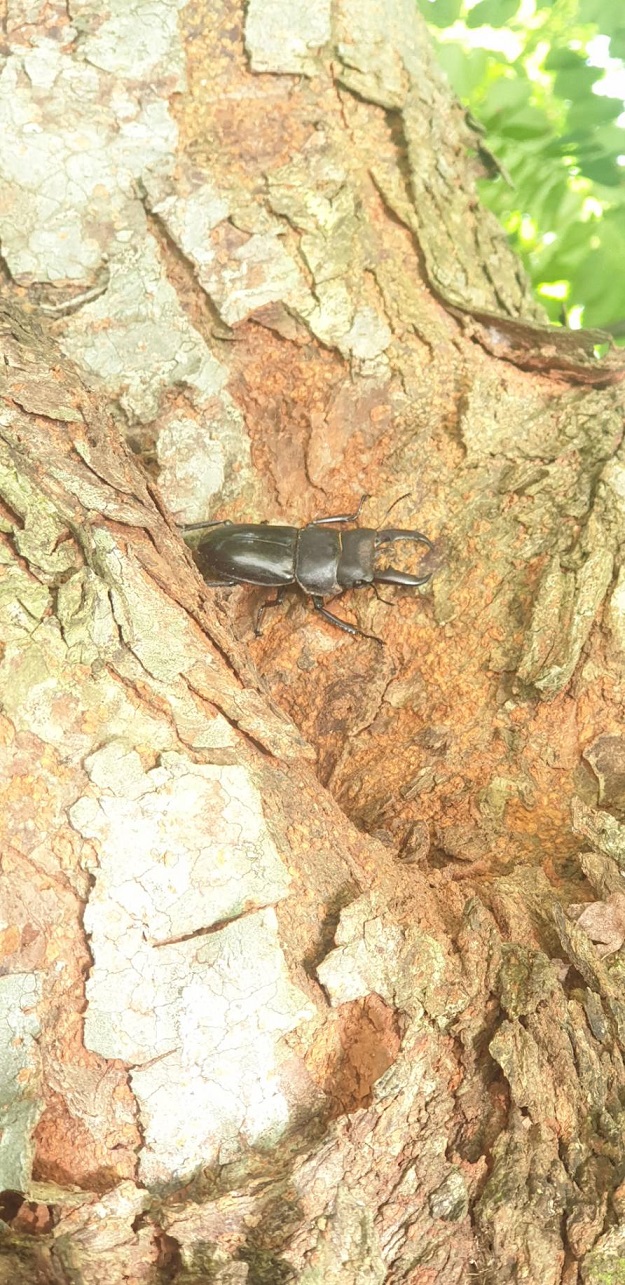 «ö¦¹¦b·sµøµ¡ÂsÄý¹Ï¤ù