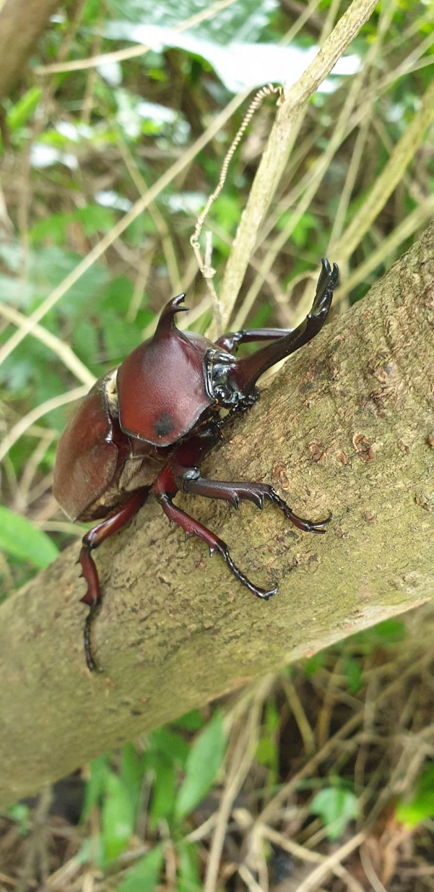 «ö¦¹¦b·sµøµ¡ÂsÄý¹Ï¤ù