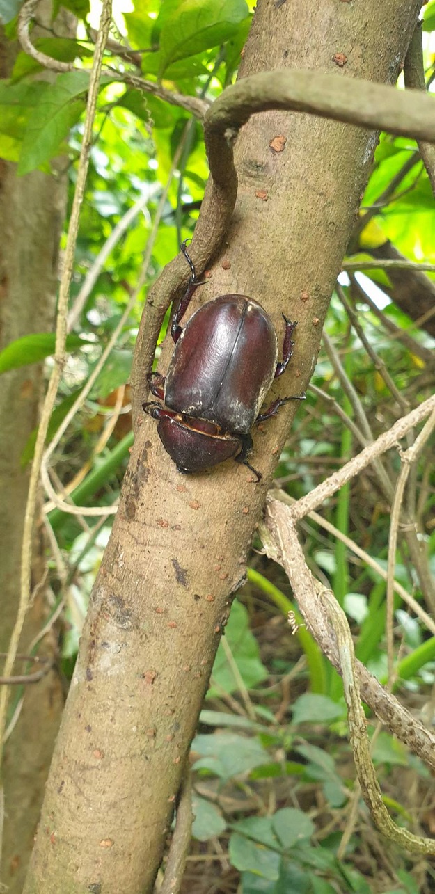 «ö¦¹¦b·sµøµ¡ÂsÄý¹Ï¤ù