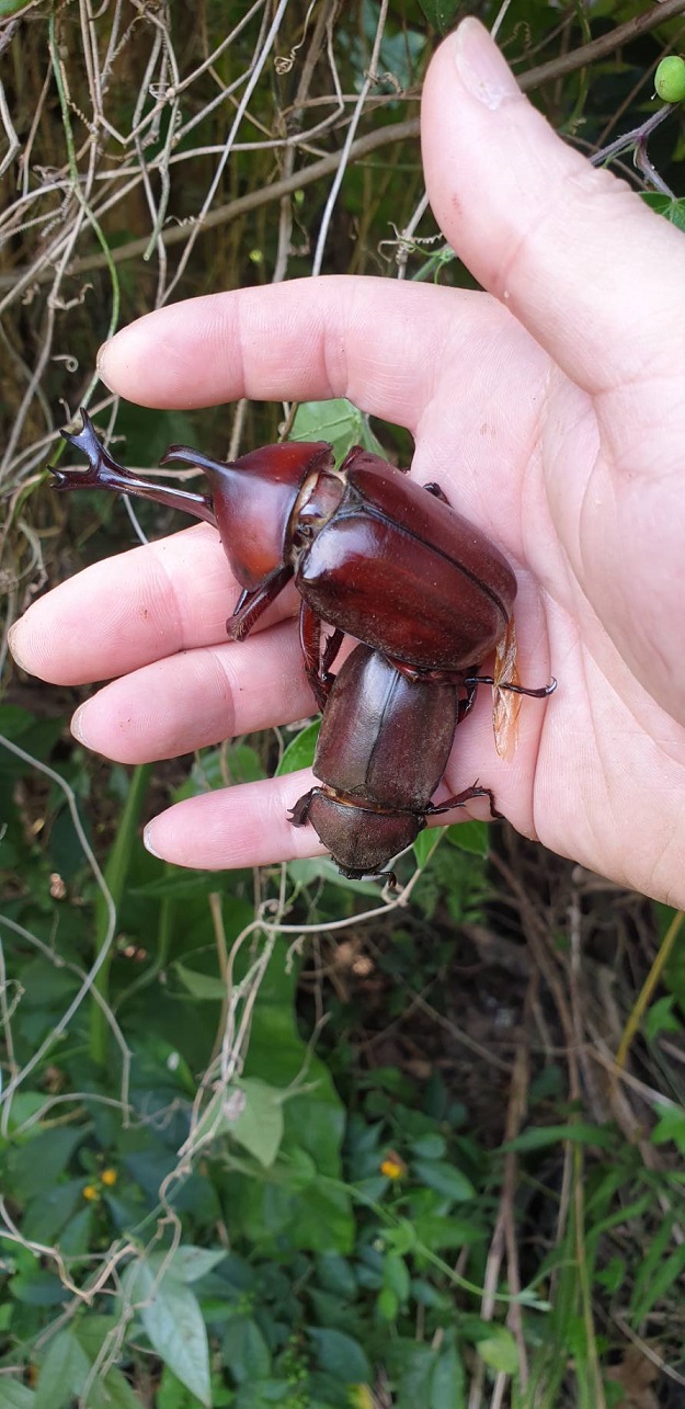 «ö¦¹¦b·sµøµ¡ÂsÄý¹Ï¤ù