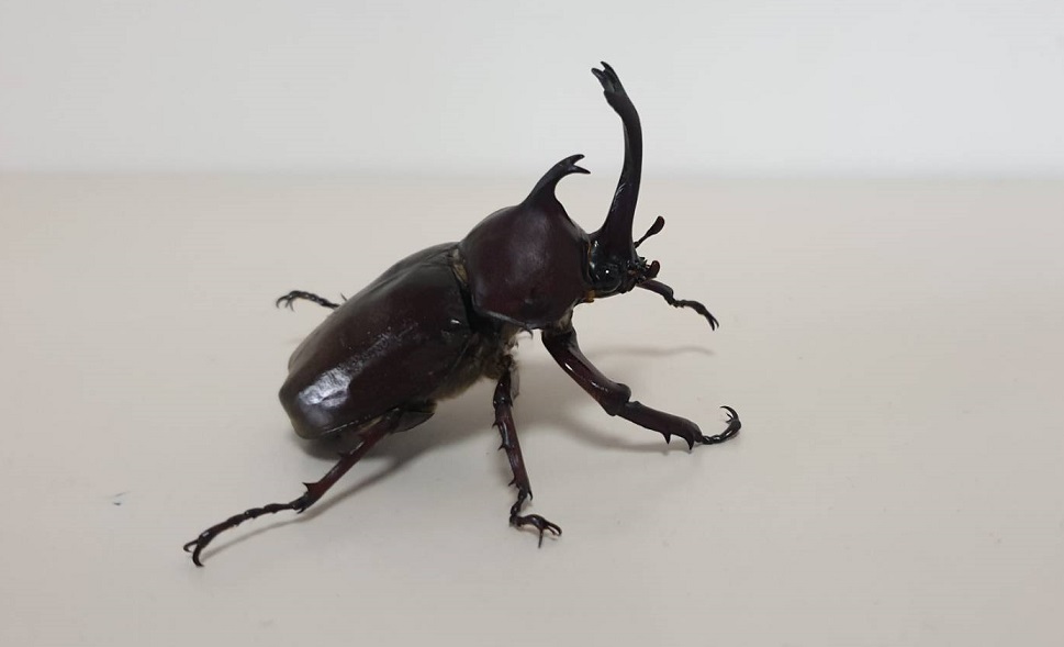 «ö¦¹¦b·sµøµ¡ÂsÄý¹Ï¤ù