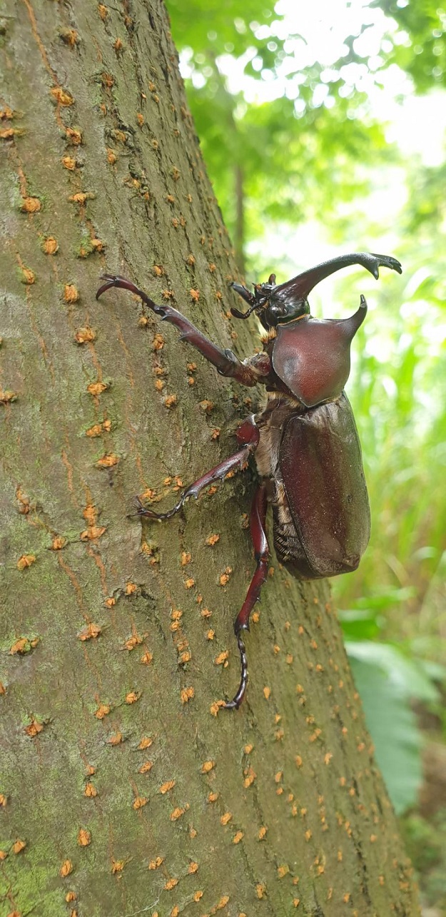 «ö¦¹¦b·sµøµ¡ÂsÄý¹Ï¤ù