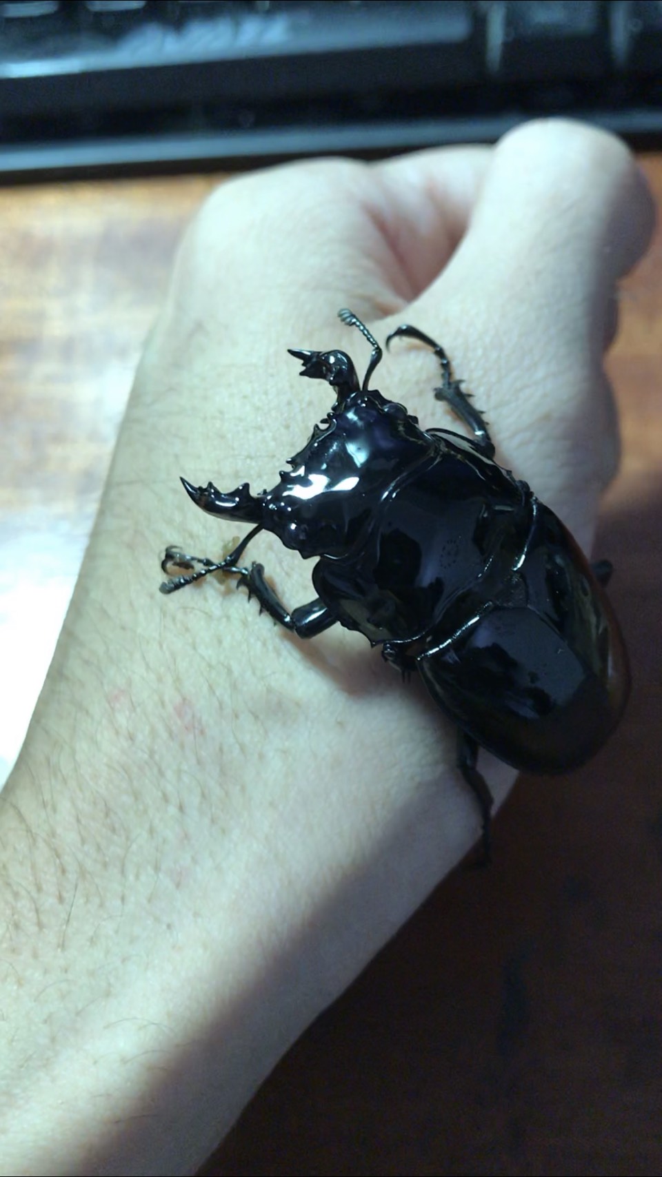 «ö¦¹¦b·sµøµ¡ÂsÄý¹Ï¤ù